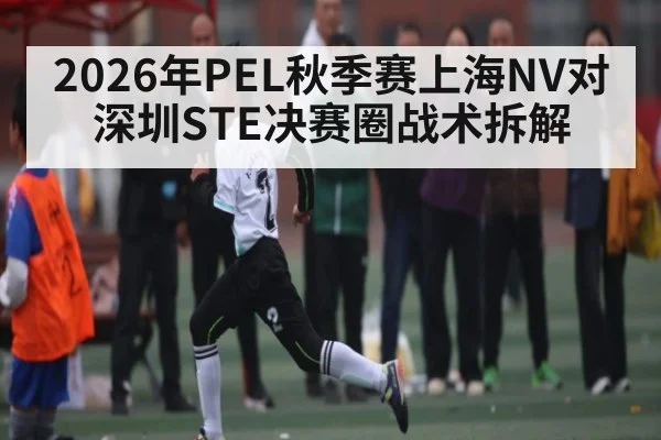 2026年PEL秋季赛上海NV对深圳STE决赛圈战术拆解